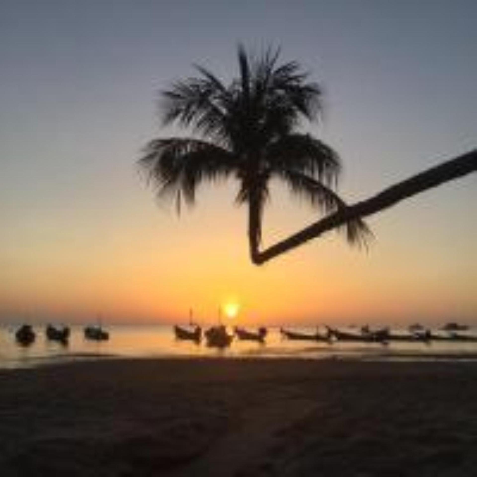 Lotus Hostel Beach كو تاو المظهر الخارجي الصورة